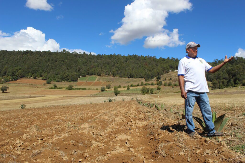 Bosques y suelos