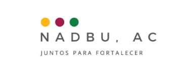Logo Aliado 28